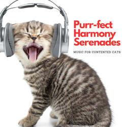 Pawsitive Musical Vibes