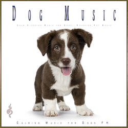 Calm Dog Music