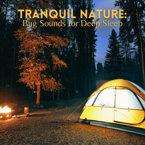 Tranquil Nature: Bug Sounds for Deep Sleep