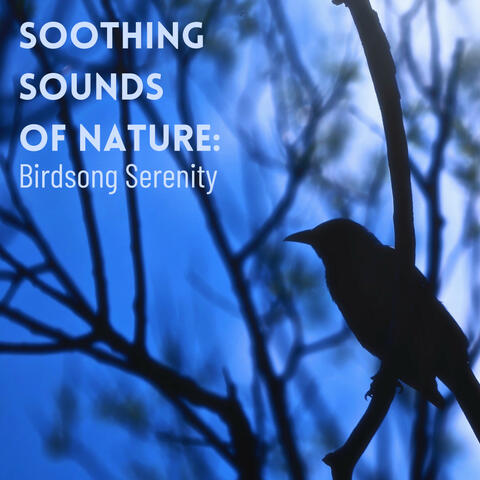 Soothing Sounds of Nature: Birdsong Serenity