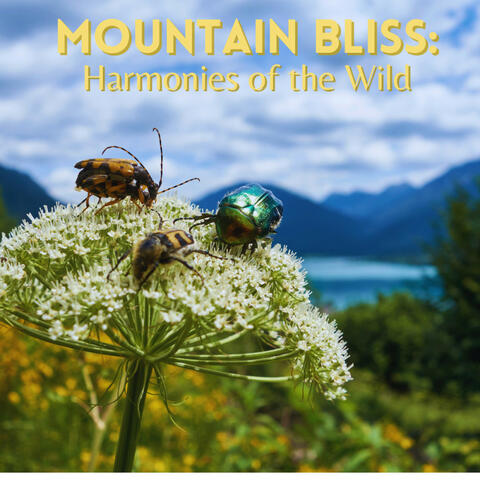 Mountain Bliss: Harmonies of the Wild