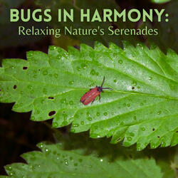 Fluttering Wings and Bug Strings