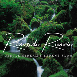 Flowing River's Tranquil Meditation