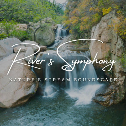 River's Symphony: Nature's Stream Soundscape (ASMR)