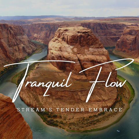 Water's Tranquil Flow: Stream Meditations (ASMR)