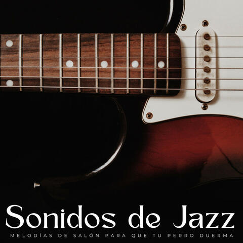 Sonidos De Jazz: Melodías De Salón Para Que Tu Perro Duerma