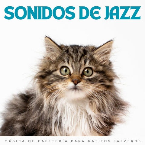 Sonidos De Jazz: Música De Cafetería Para Gatitos Jazzeros