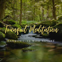 Awakening to Stream's Meditative Bliss