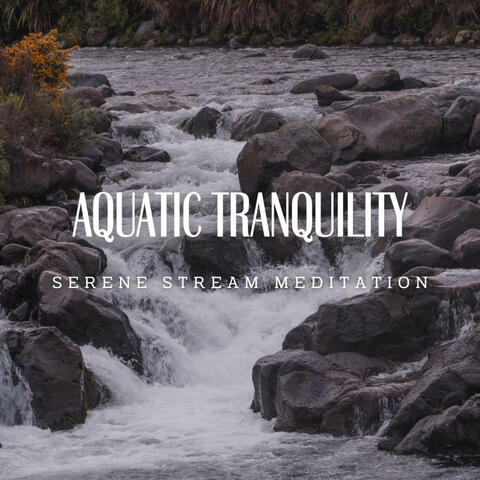 Aquatic Tranquility: Meditative Streams (ASMR)