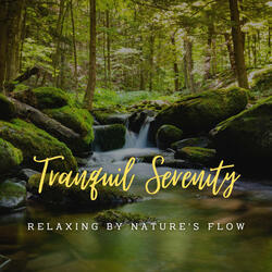Gentle Streamside Tranquility