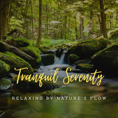 Stream's Tranquil Serenity: Relaxing by Nature's Flow (ASMR)