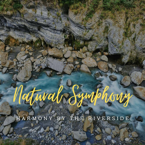 Stream's Natural Symphony: Harmony by the Riverside (ASMR)