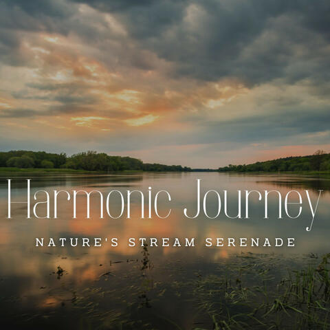 River's Harmonic Journey: Nature's Stream Serenade (ASMR)