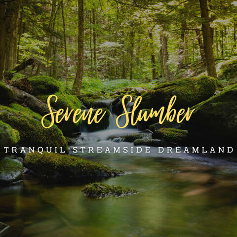 Stream's Serene Slumber: Nature's Sleepscape (ASMR)