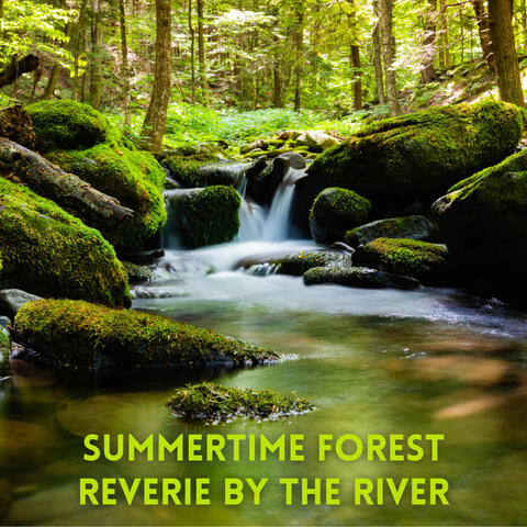 Summertime Forest Reverie by the River