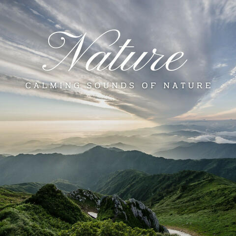 Eternal Waterscapes: Calming Sounds of Nature