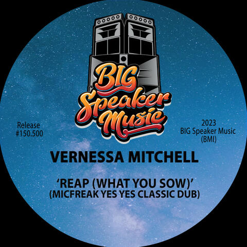 Vernessa Mitchell