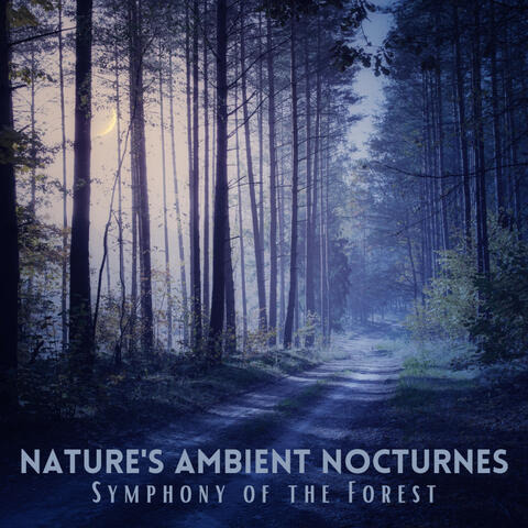 Nature's Ambient Nocturnes: Symphony of the Forest