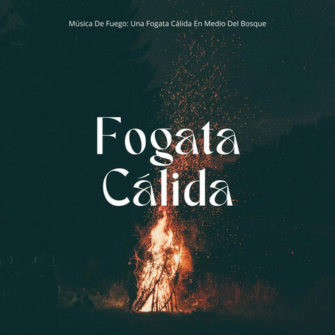 Música De Fuego: Una Fogata Cálida En Medio Del Bosque