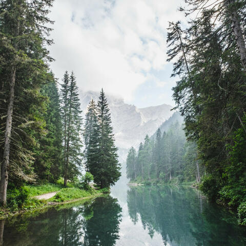 Streamside Harmony: Meditation's Peaceful Retreat