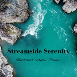 Stream's Tranquil Retreat Explored