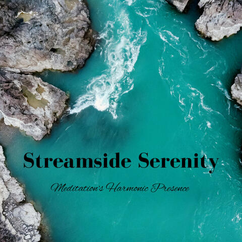 Streamside Serenity: Meditation's Harmonic Presence