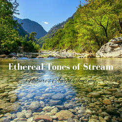 Streamside Rhythms in Nature