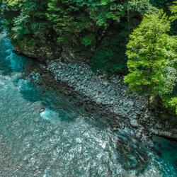 Streamside Tranquility Unbound