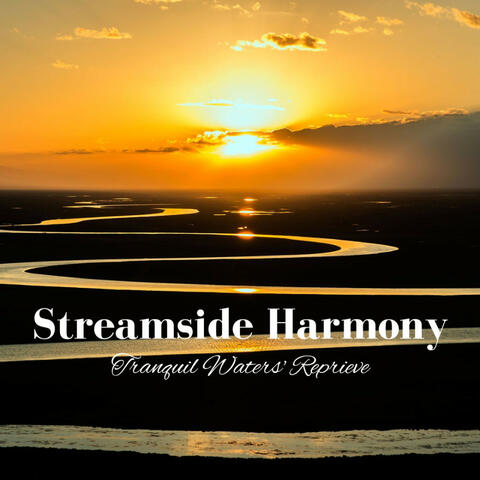 Streamside Harmony: Tranquil Waters' Reprieve