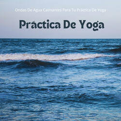 Práctica De Yoga En La Mañana