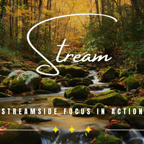 Tranquil Stream Work: Binaural Sounds for Efficient Productivity