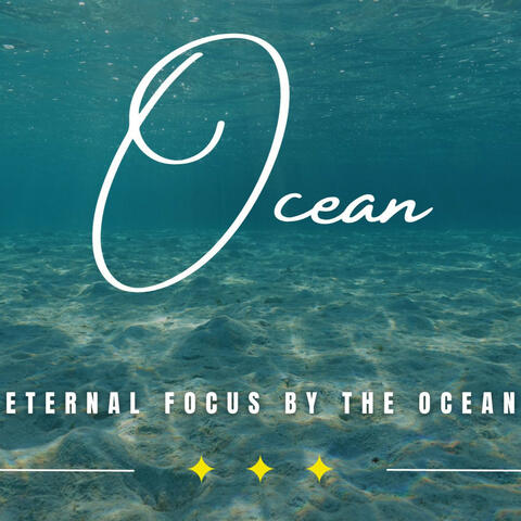 Oceanic Clarity: Binaural Waves for Focus