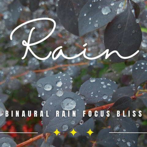 Sacred Rain Study: Binaural Rainfall Serenity