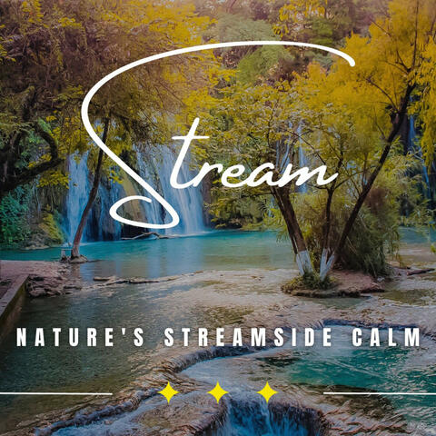 Streamside Serenity: Binaural Relaxation Melodies
