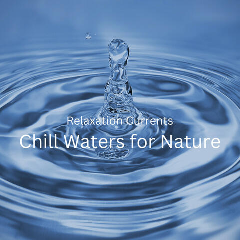 Relaxation Currents: Chill Waters for Nature