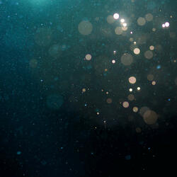 Coral Chakra Connection