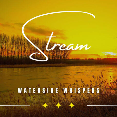 Whispers of the Stream: Binaural Waterside Sounds