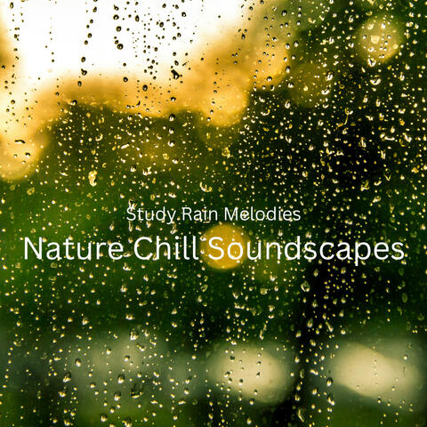 Study Rain Melodies: Nature Chill Soundscapes