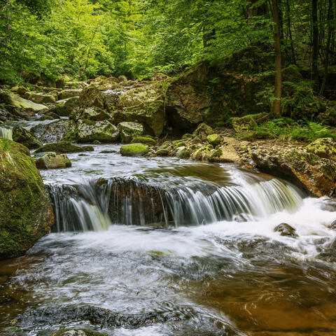 Stream Chants: Harmonic Water Meditations