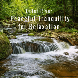 Quiet Flow's Oasis