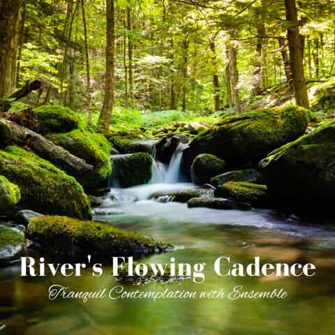 River's Flowing Cadence: Tranquil Contemplation with Ensemble