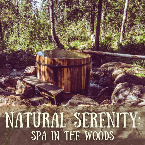 Natural Serenity: Spa in the Woods