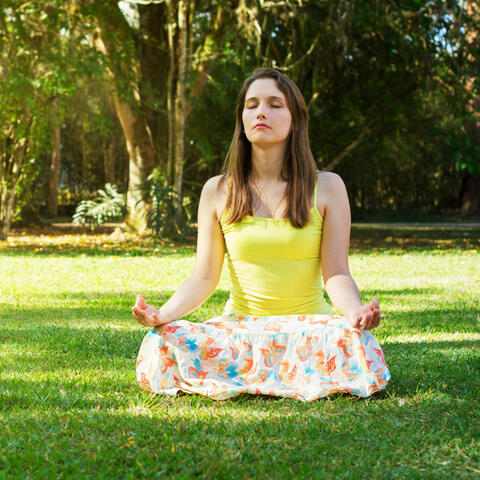 Nature Birds Serenity: Insect Harmony for Meditation