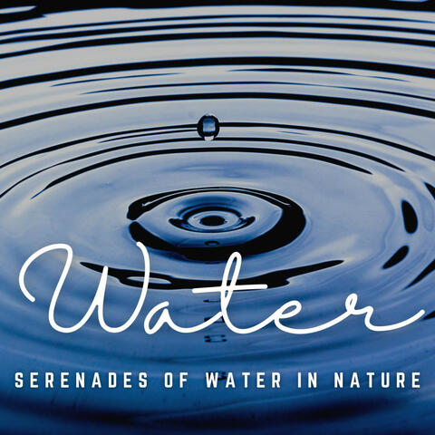 Aquatic Elegance: Serenades of Water in Nature