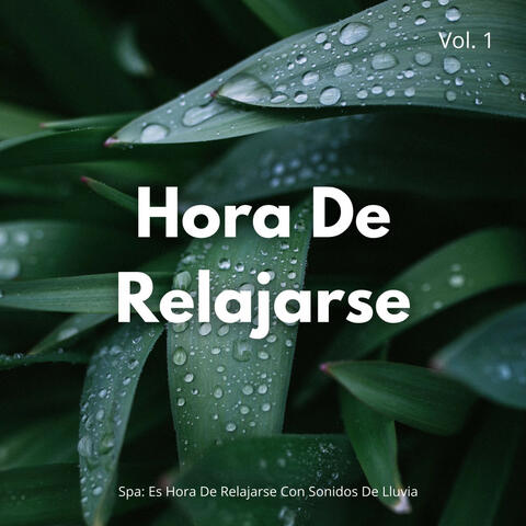 Spa: Es Hora De Relajarse Con Sonidos De Lluvia Vol. 1