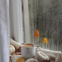 Contemplating Rain's Balance