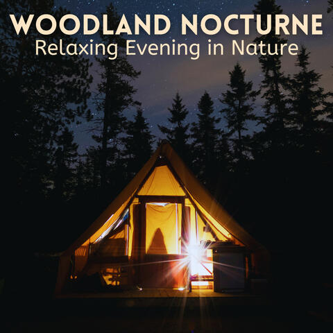 Woodland Nocturne: Relaxing Evening in Nature