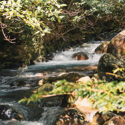 Rippling Brainwave Harmony
