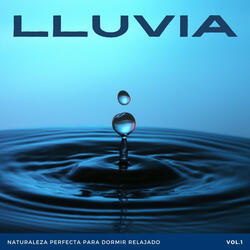 Gotas De Lluvia Perfecta
