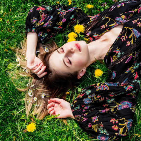 Meadow's Lullaby: A Serenade of Nature's Calmness